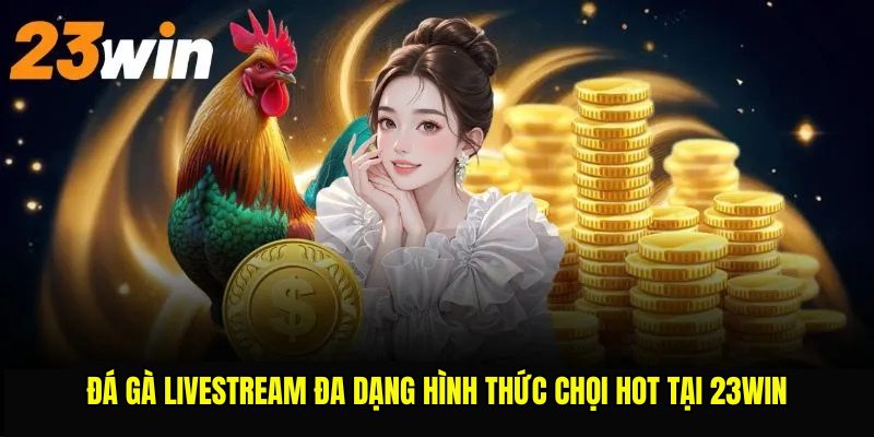 Đá gà livestream đa dạng hình thức chọi hot tại 23win